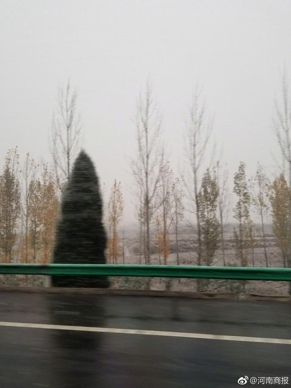 色情 李 宗瑞