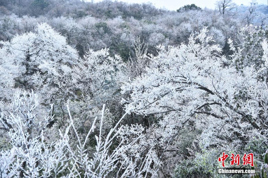 内谢中国媳妇的由来和背景
