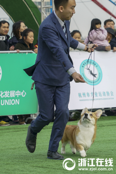 可以看的Av网站