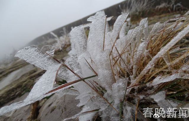 做爱动漫