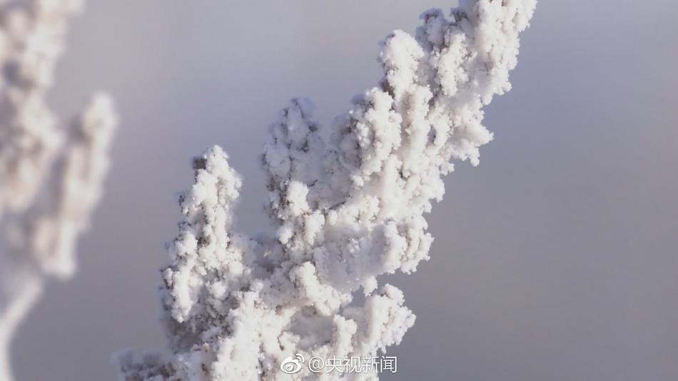 白裤袜校花 扒腿让我c