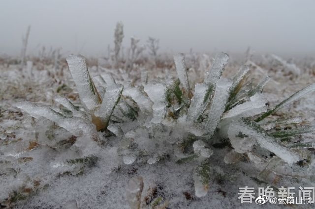 小黄文