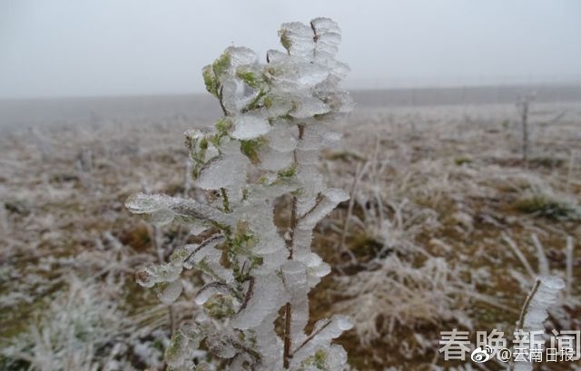 就要搞搞自拍偷拍性爱电影