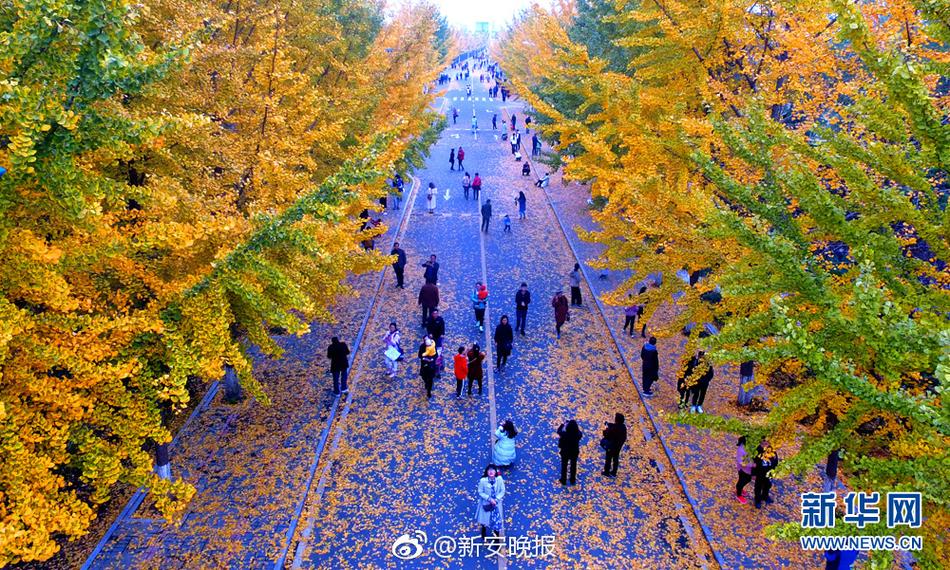 夫妻性毛片无码一及毛片
