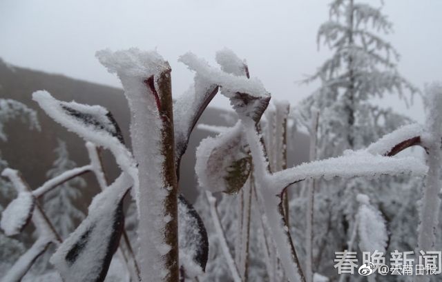 偷拍色网站