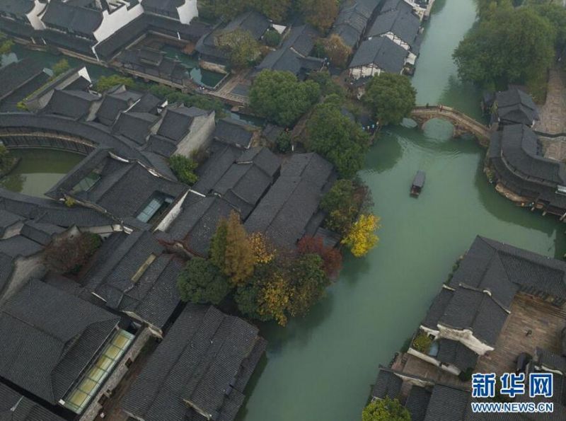 年轻的寡妇奇优影院