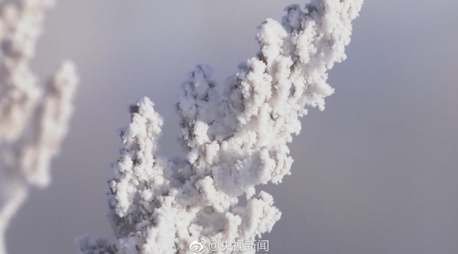 另类老妇性BBwBBw