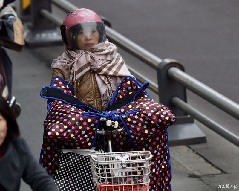 草凪純