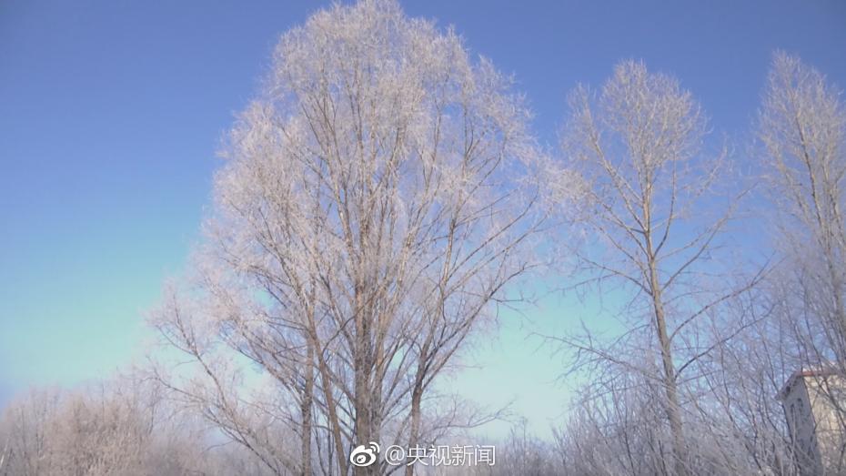 色爽