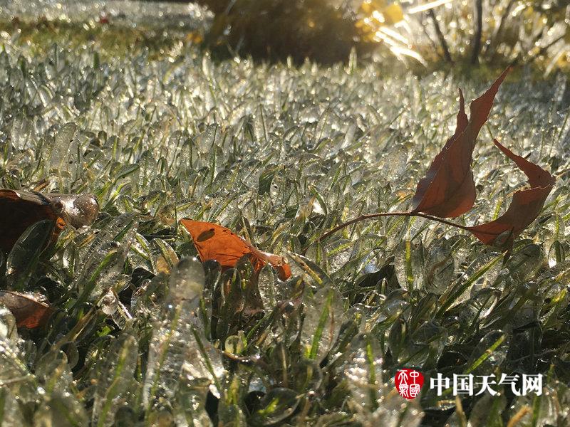 梁詠琪