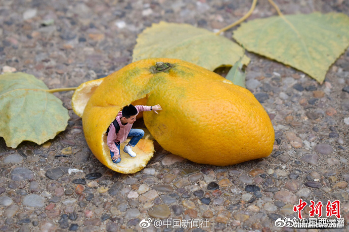 欧美一区二区三