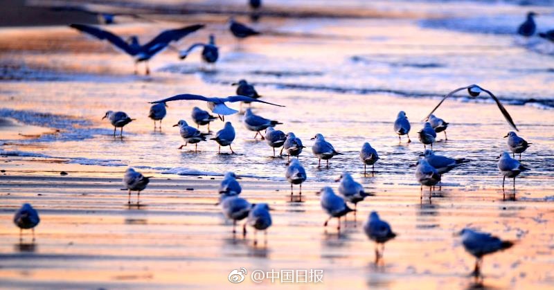 夸克看电影免费