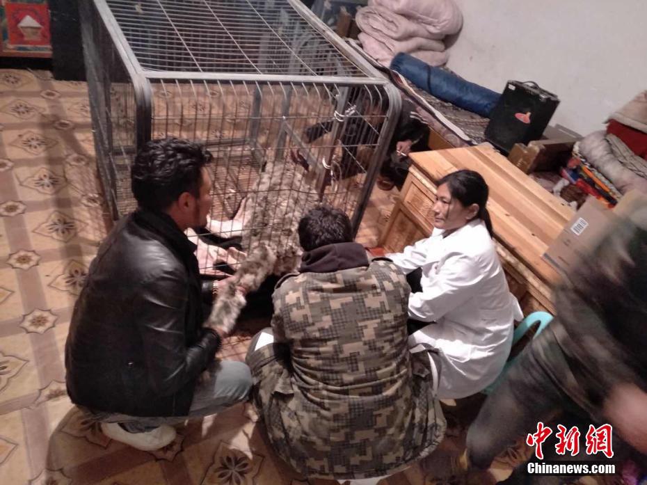 欧美Zao喷水???