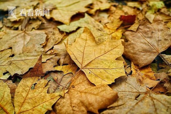 【彩】【1】【6】【彩】【票】【苹】【果】【版】【下】【载】