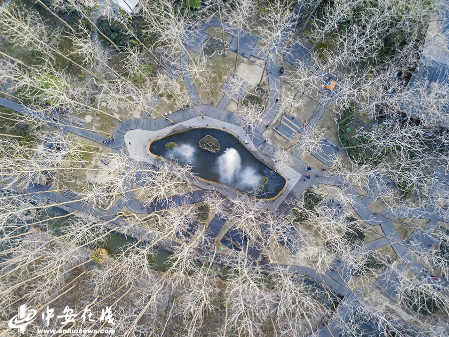 东北短篇亂伦合集