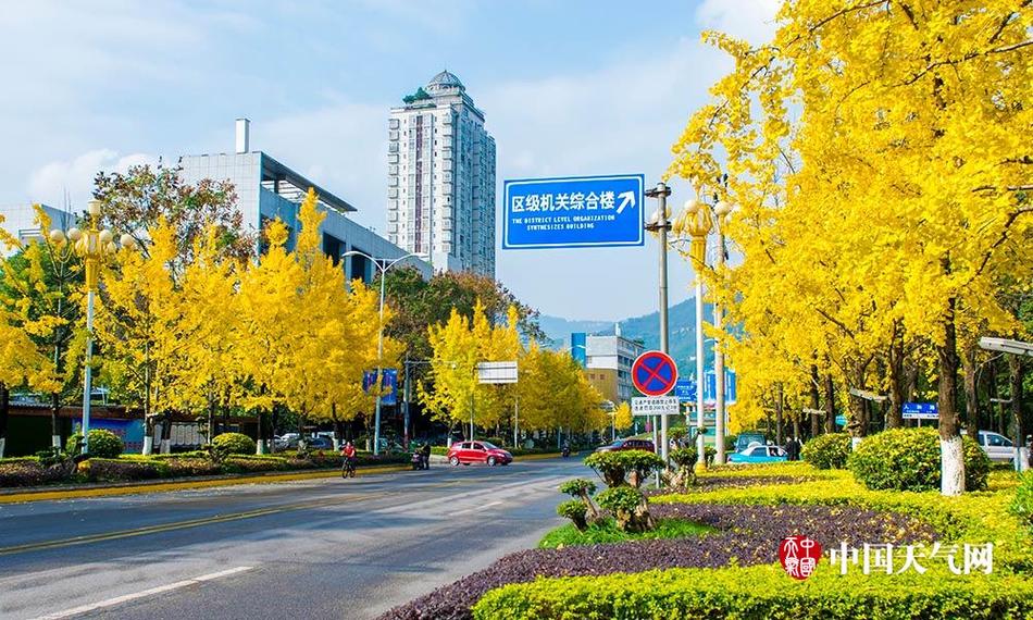 欧美人与禽zozo另类