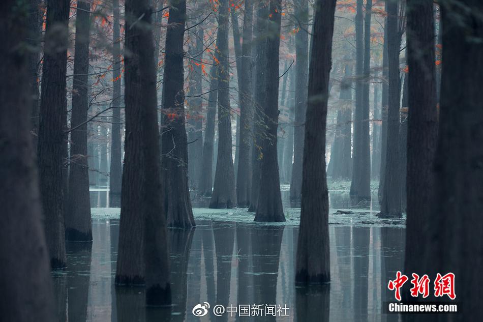 黄色视频免费看动态视频