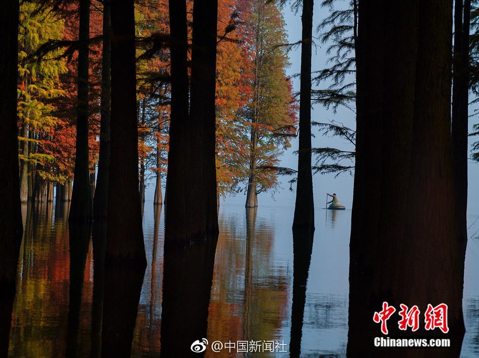 明星性爱视频在线观看网站