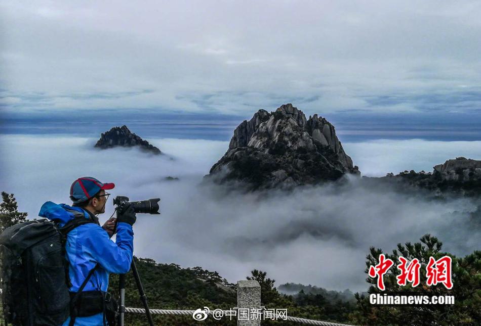 黄色网站下载大全，