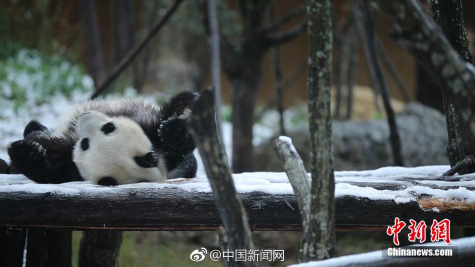 欧美一级喷水