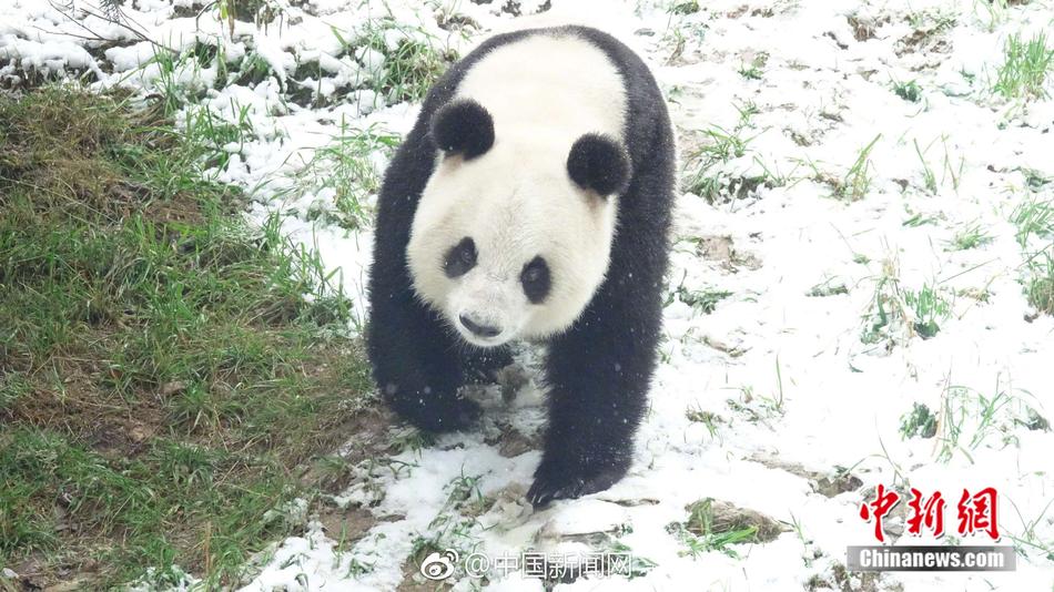 美女露出 让男生玩网站