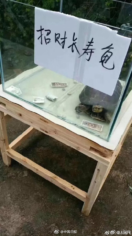 前戏教学
