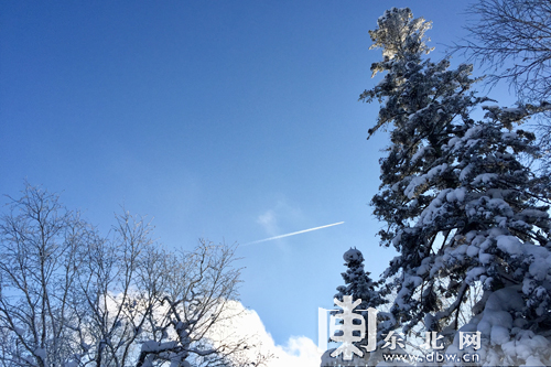 陈都灵