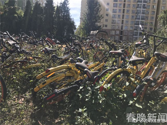 一级片a