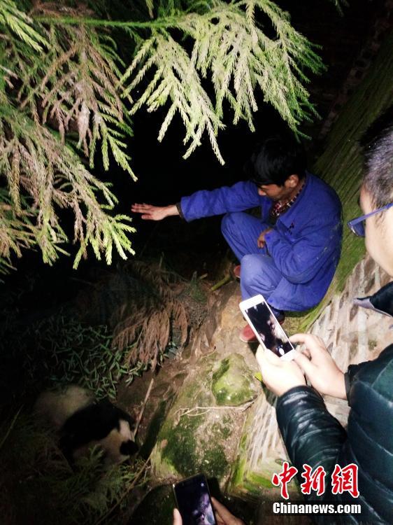 免费看黄色片