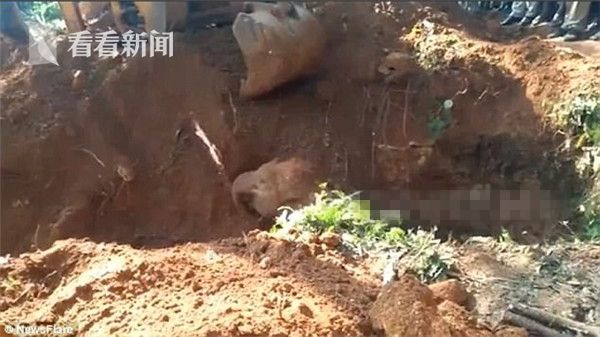 操逼视频免费看