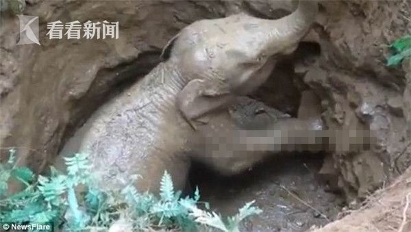动漫二级黄片