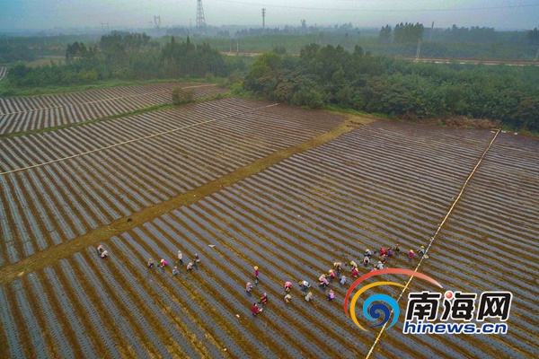 博厚村人口_博社村人口多少