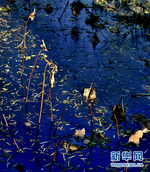 五月天婷婷综合
