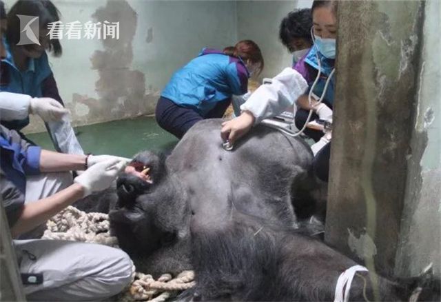 臭鮑魚