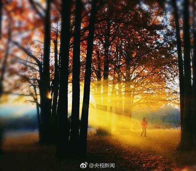 免费 性爱 视频 网站