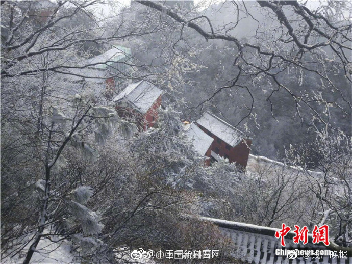 成人 网 排行