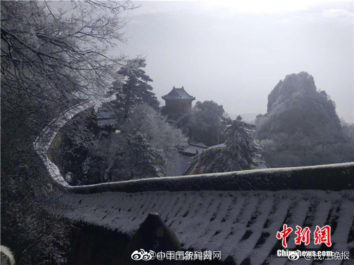 一级做a爰片毛片A片的价格
