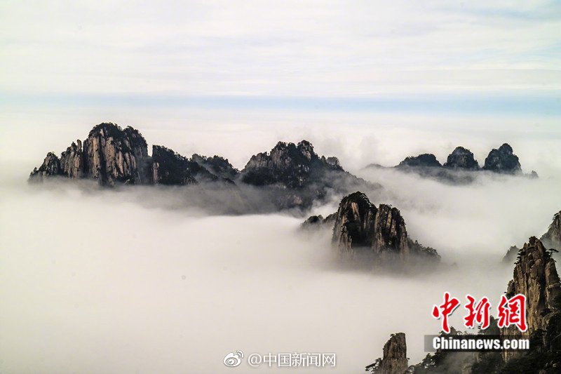欧美一级大黄片