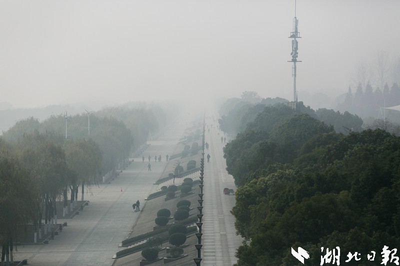 偷拍性虐视频网