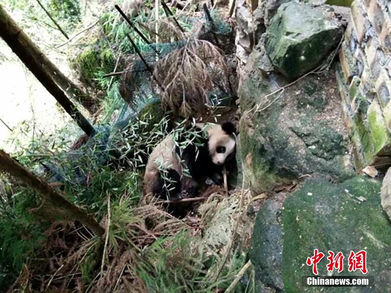 季影帝边拍戏边做h