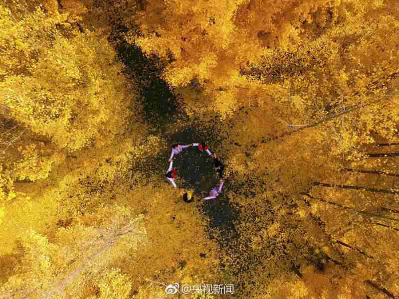 免费中国女明星黄片下载