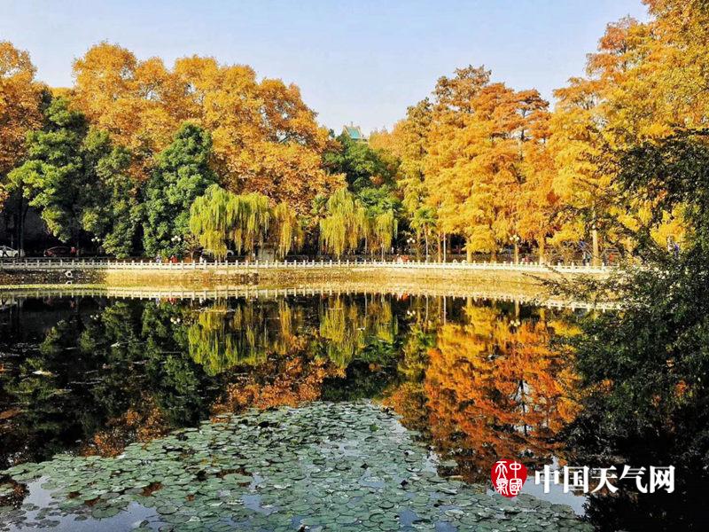 健身教练105话我需要灭火