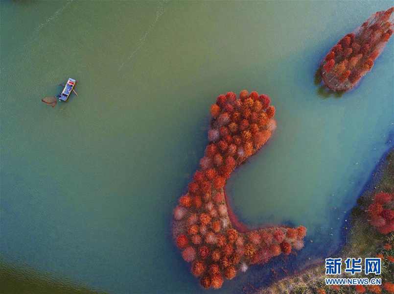 佐佐木恋海