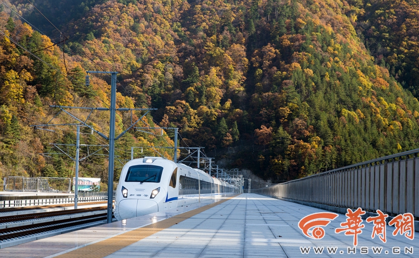 ChinaⅩXX XHD仙踪林