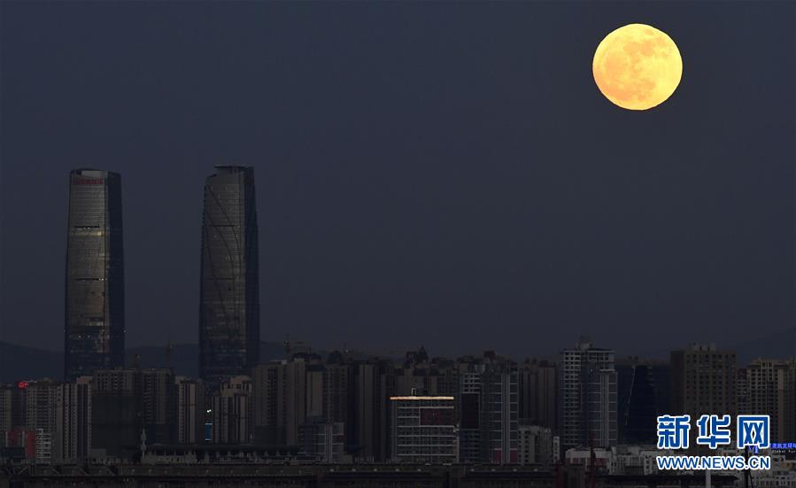 八尺大人无码