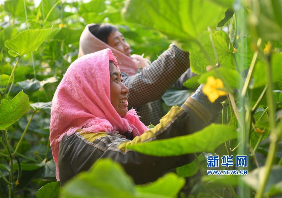 Hd一二区大吊性爱