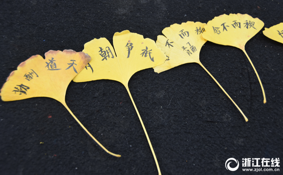 【安】【徽】【快】【三】【计】【划】【中】【心】