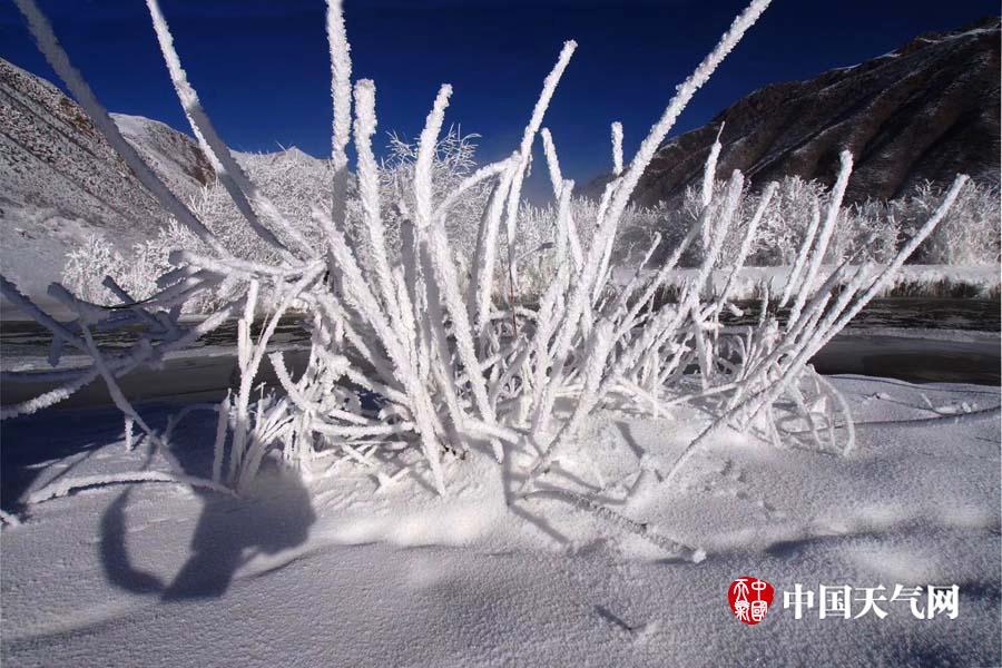 最 全 黄色 网站