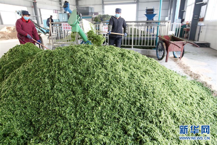 欧美一级片内射欧美A999