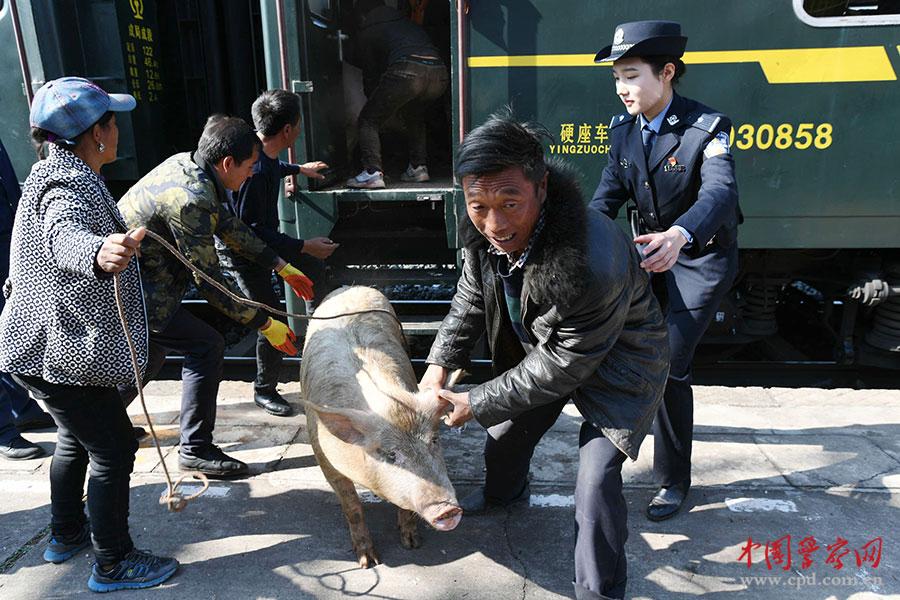 大BBBBB多毛又多冰